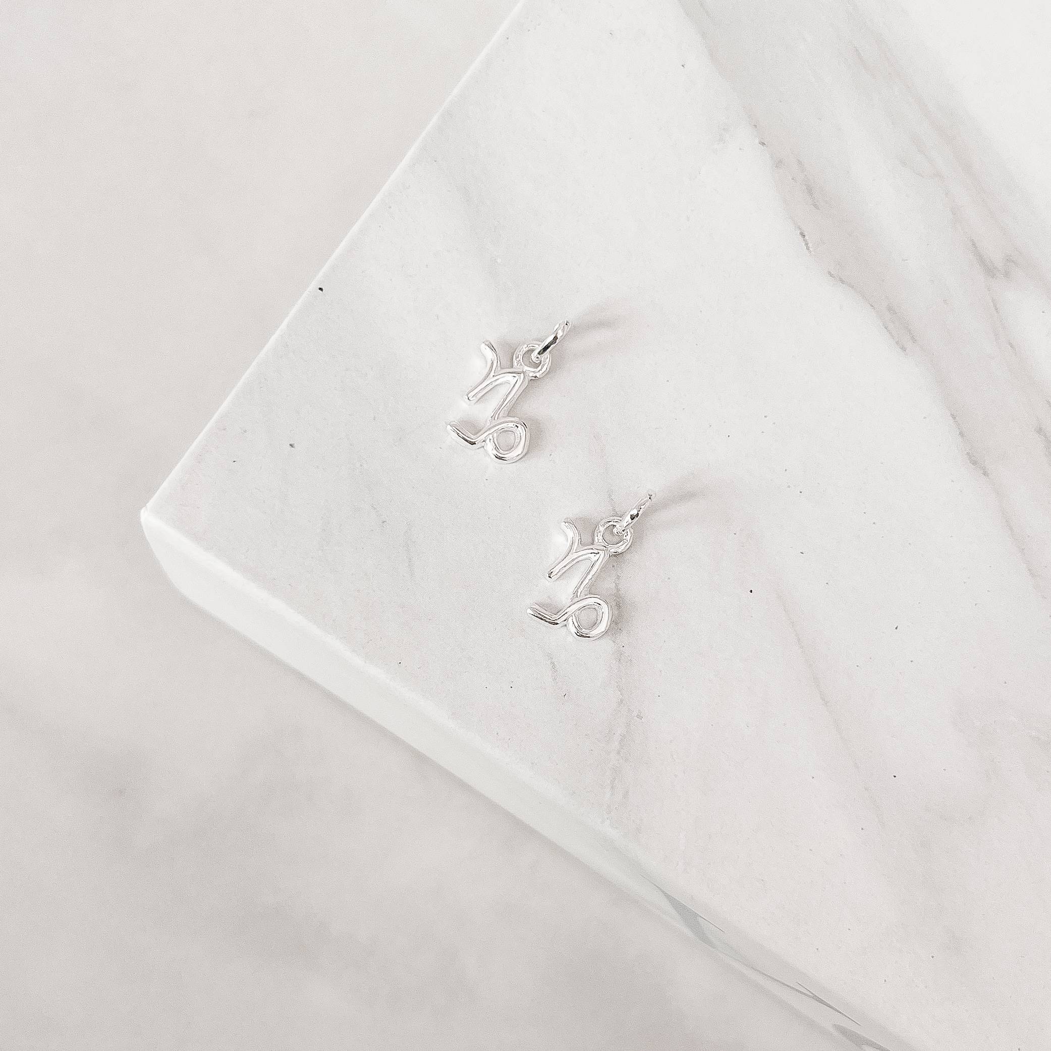 Pingente signo Capricórnio 10mm