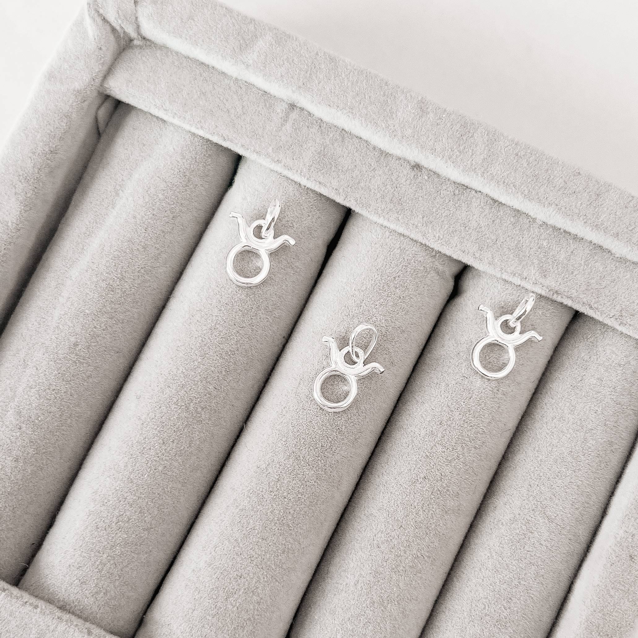 Imagem Secundária Pingente signo Touro 10mm