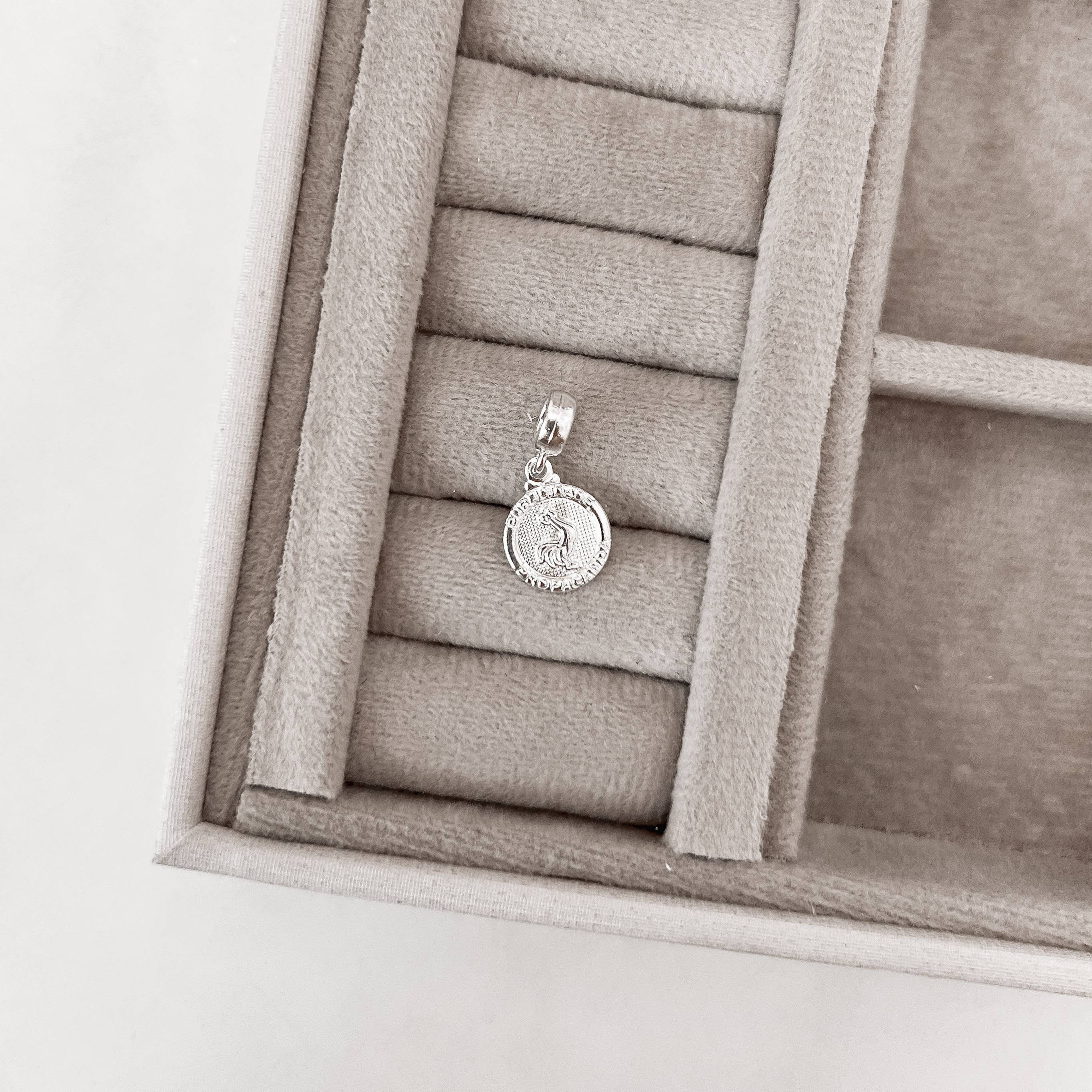 Berloque pingente medalha Publicidade e Propaganda 14mm