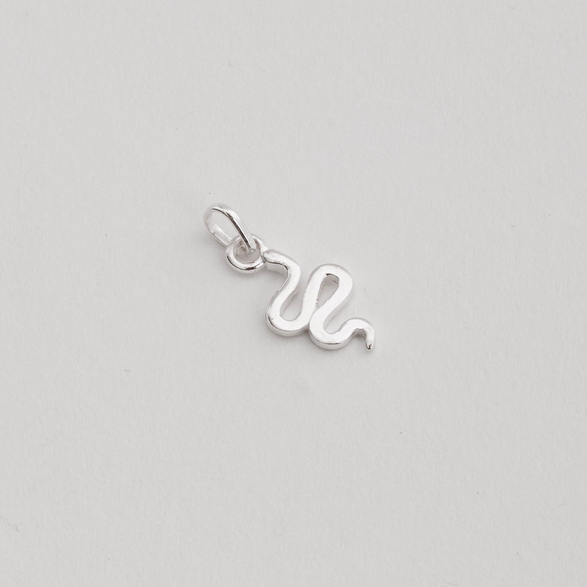 Imagem Pingente cobra 13mm
